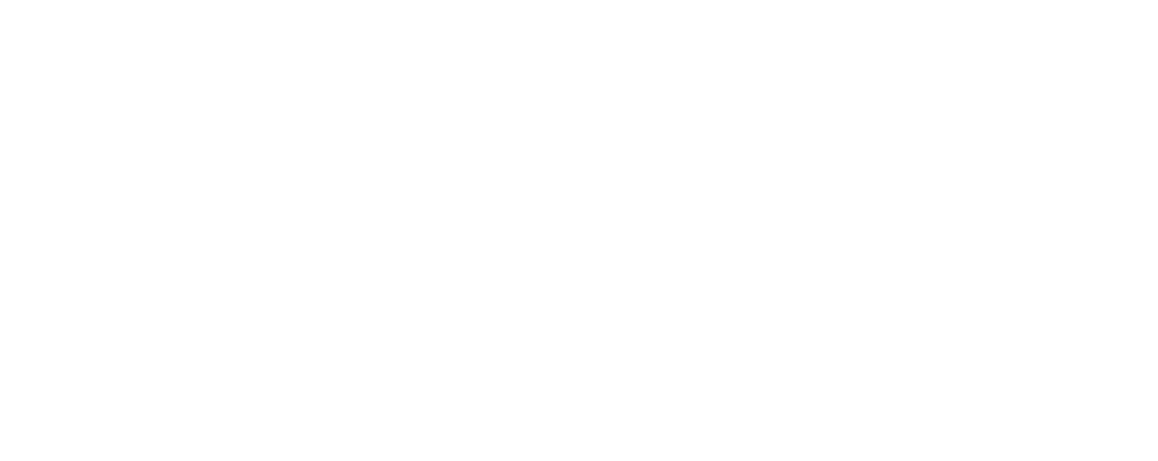 esie - European School of International Education